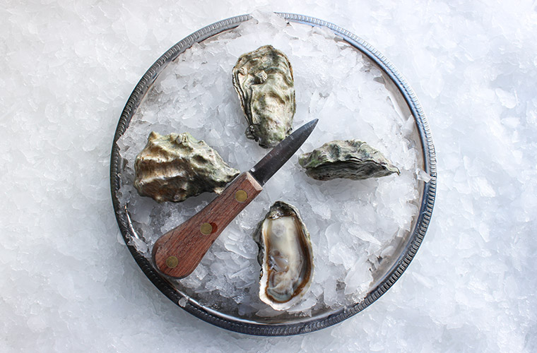Hood Canal Oyster — Oysterology Online Pangea Shellfish Company